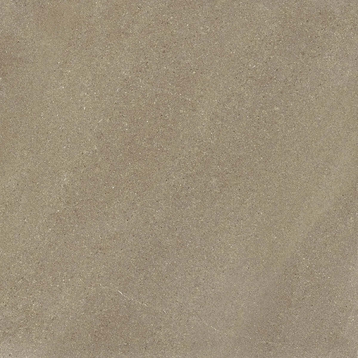 Burlington Taupe Rect. 75x 75