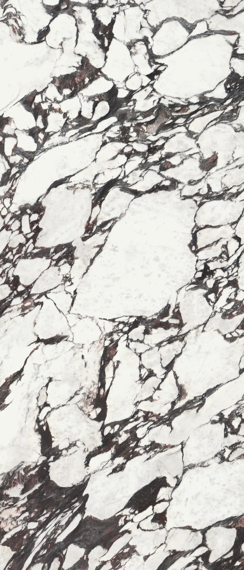 Medicea Marble Pol. Rect. 120 x 280