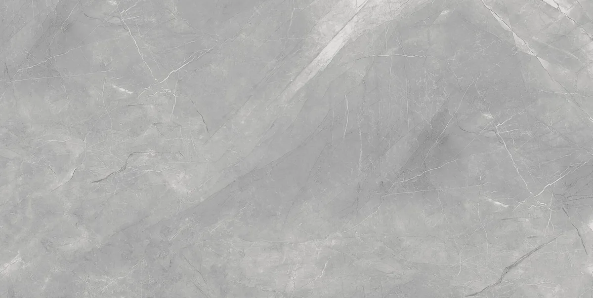 Pulpis Grey Polished 60x120